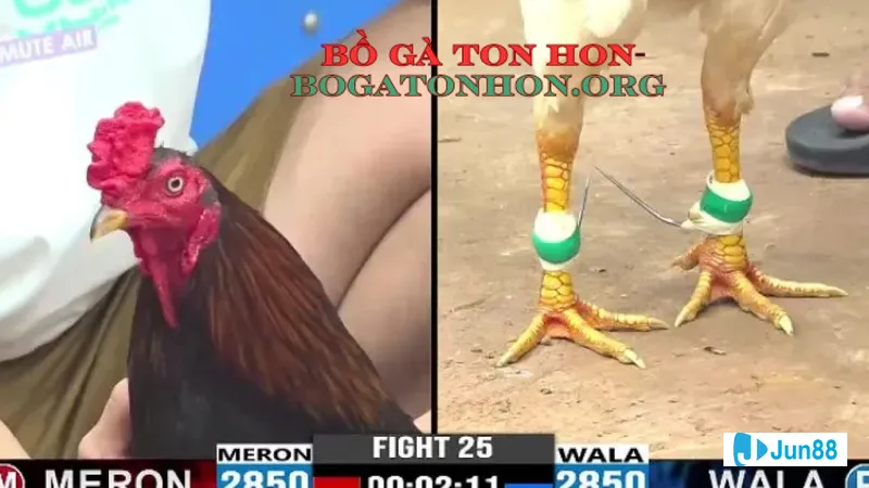 Chương trình Khuyến mãi và Sự kiện Đặc Chương trình Khuyến mãi và Sự kiện Đặc