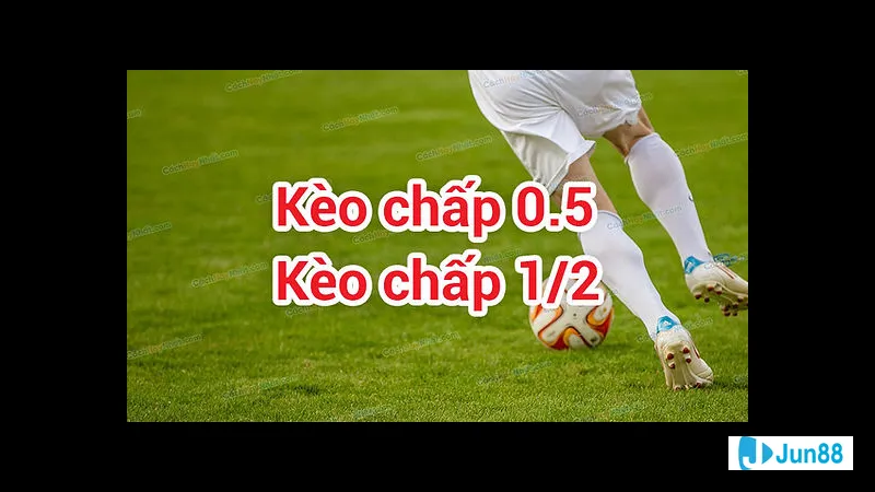 Kinh nghiệm đặt kèo nửa trái Kinh nghiệm đặt kèo nửa trái